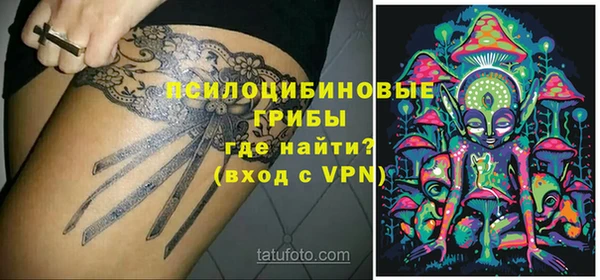 крисы Покров