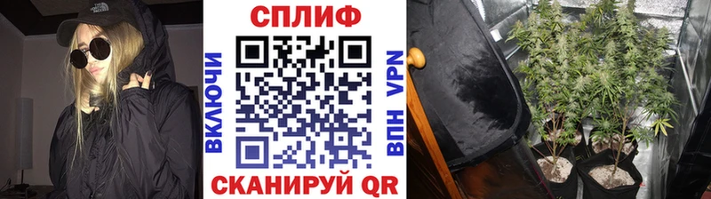 Бошки марихуана VHQ  Задонск 
